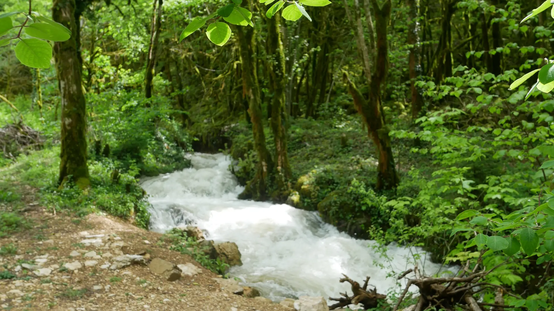 Cascade de Pisse-Vache
