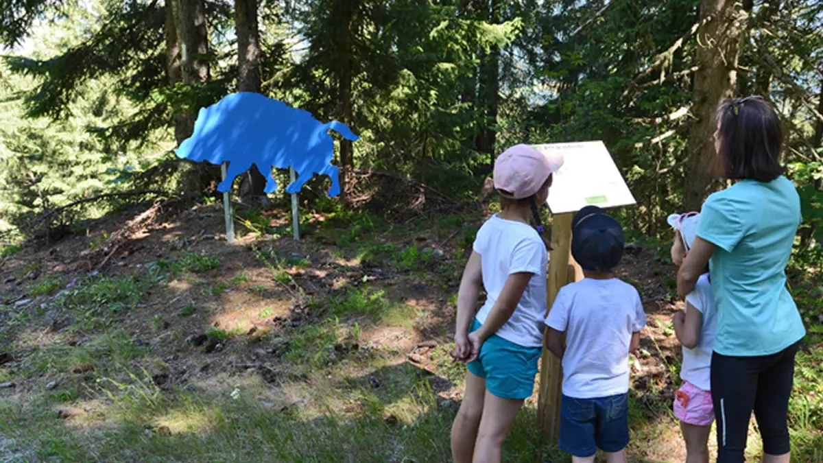 Parcours Cache-cache des animaux