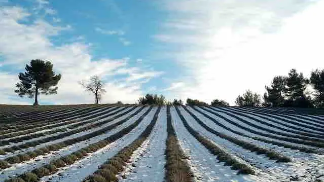 Confort et Lumière entre Luberon et Verdon