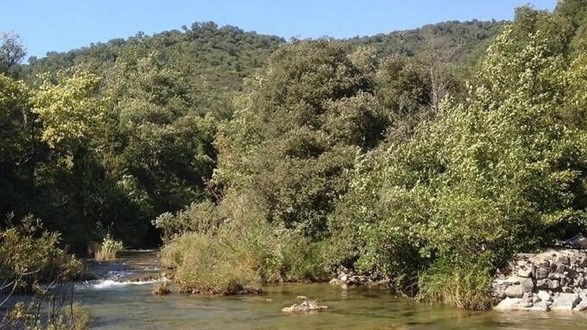 bordure de rivière