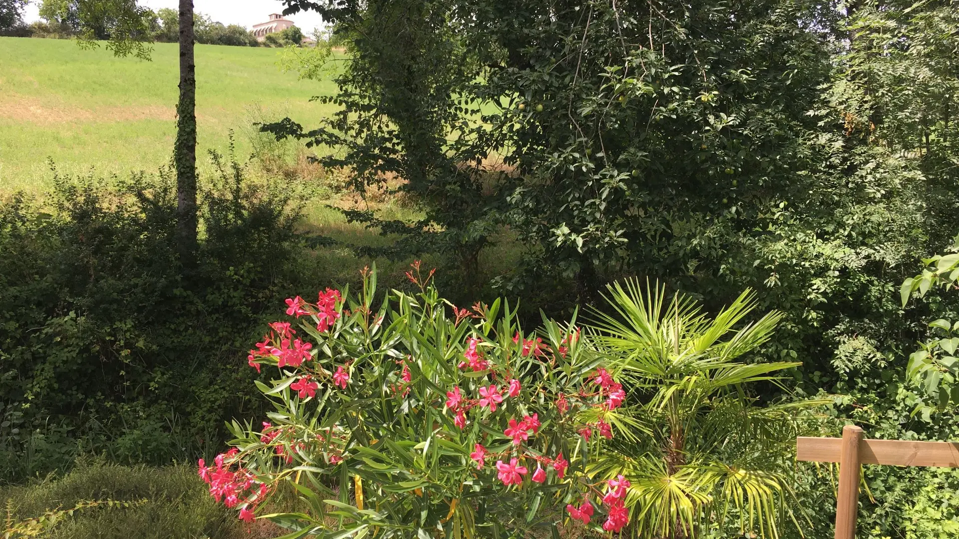 Jardin