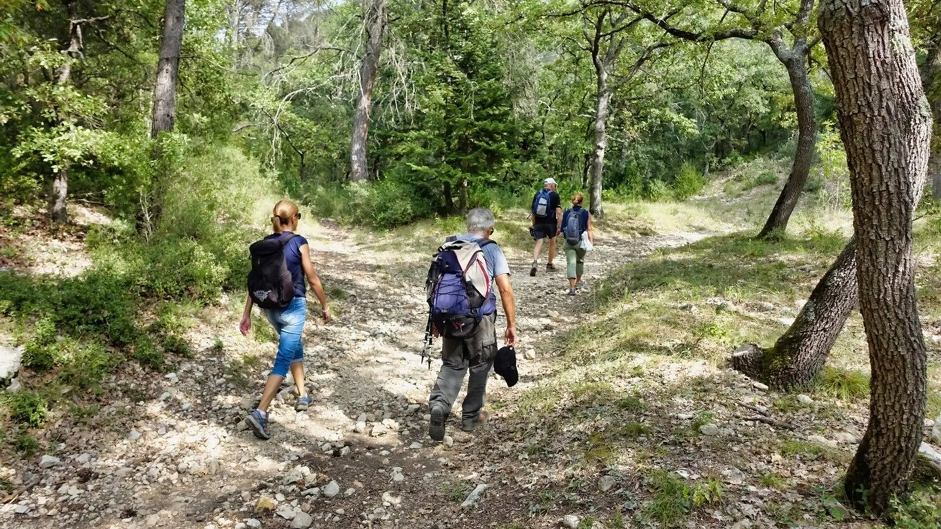 Sentier de la Colline des Pâtis