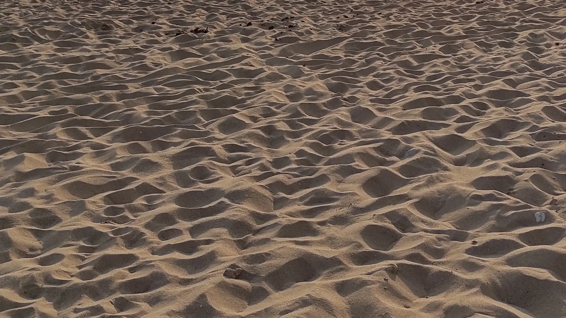 Strandblick