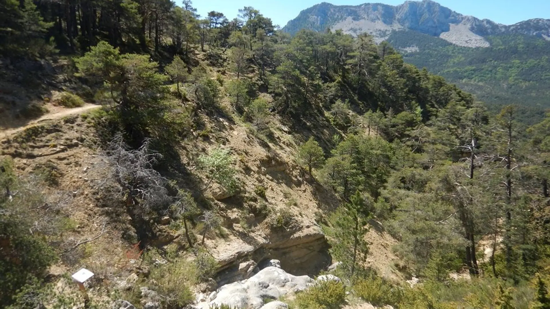 Le ravin de Ressacier