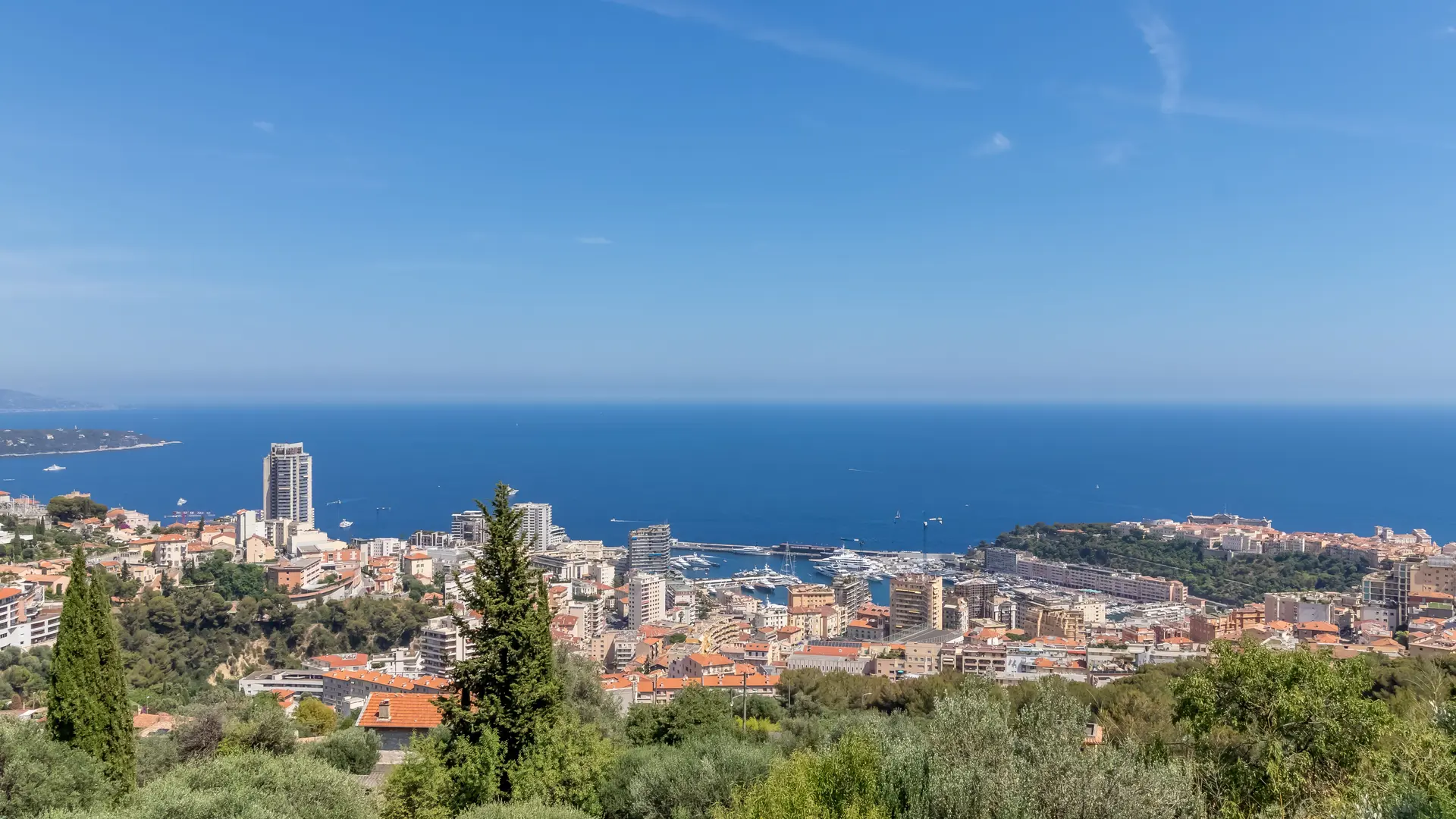 L'Olivier-Vue-Beausoleil-Gîtes de France des Alpes-Maritimes