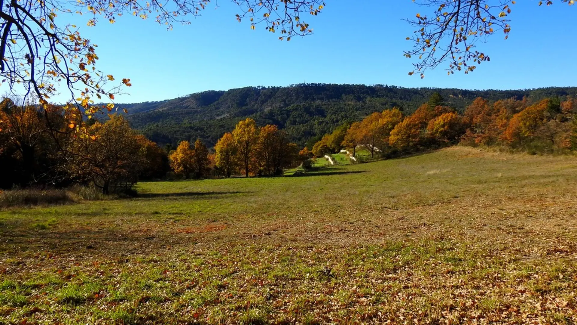 Vue sur les restanques