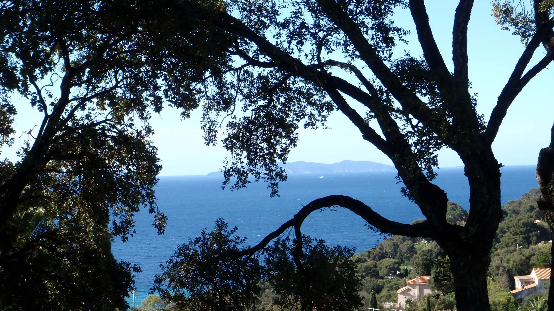 Vue de la terrasse