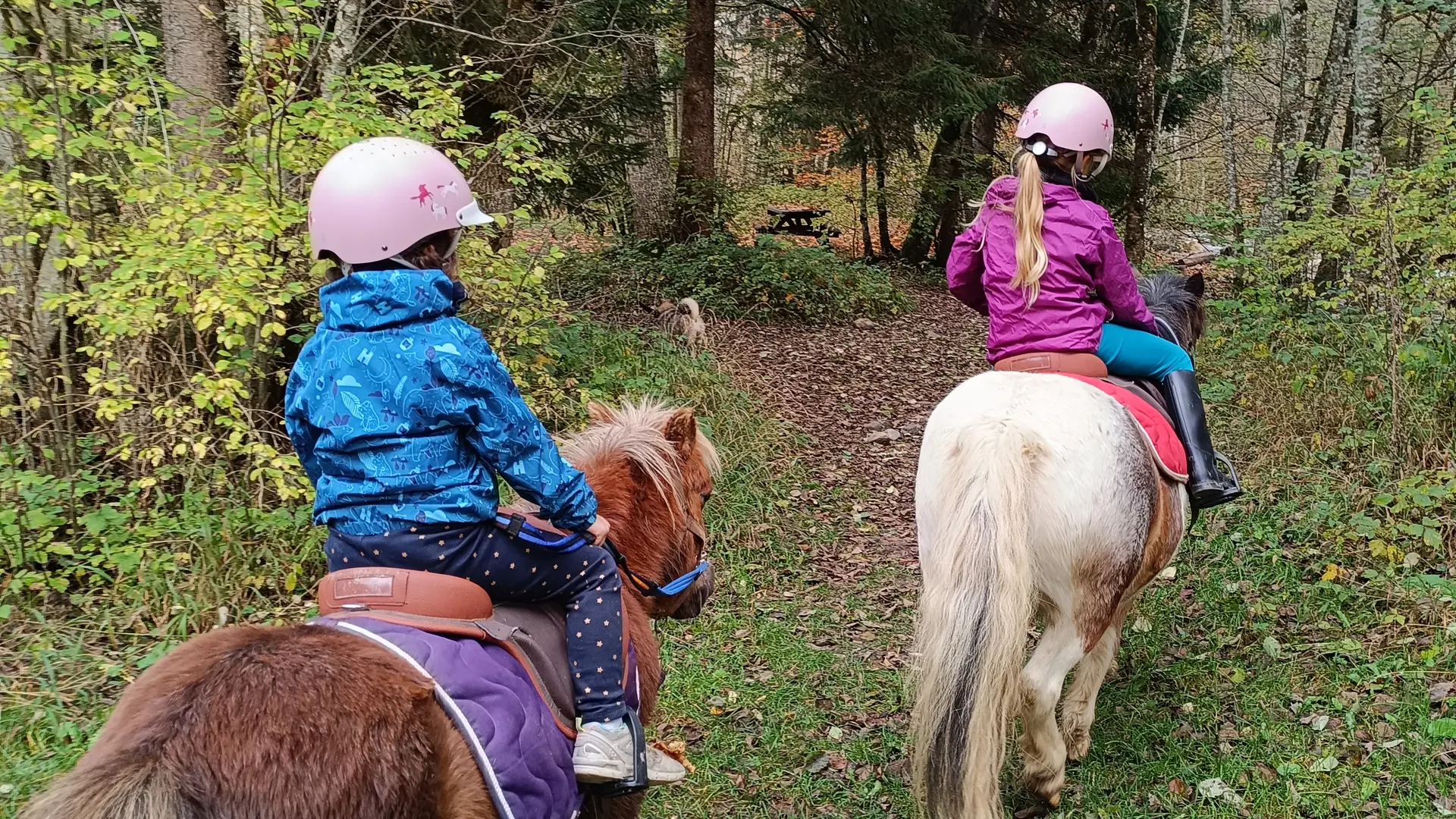 groupe d'enfant à poney