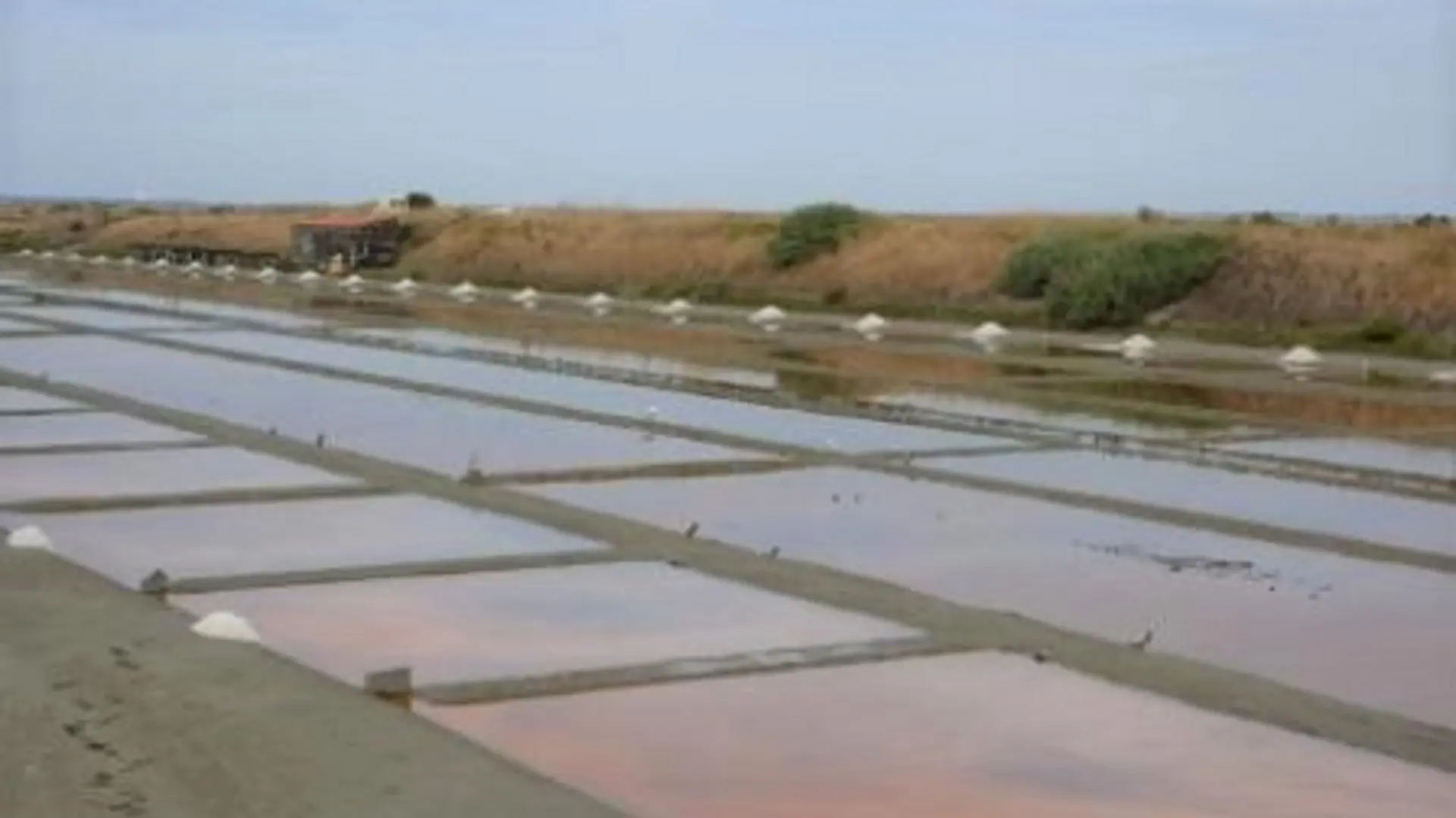 Marais salants de La Couarde