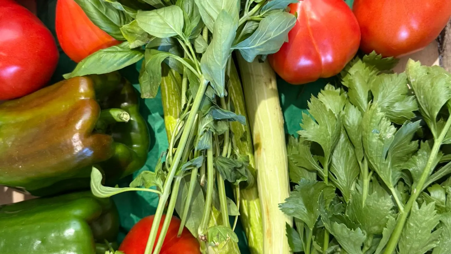 Maraichage biologique