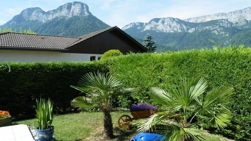 Vue sur les montagnes