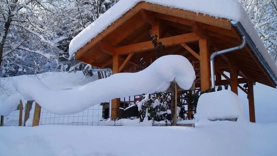 Le jardin sous la neige