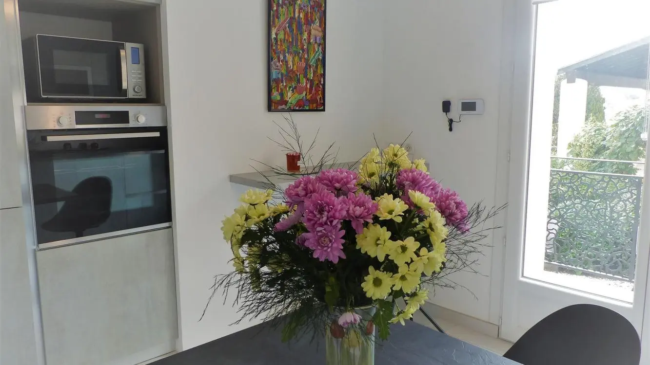 la cuiaine donnat sur le jardin