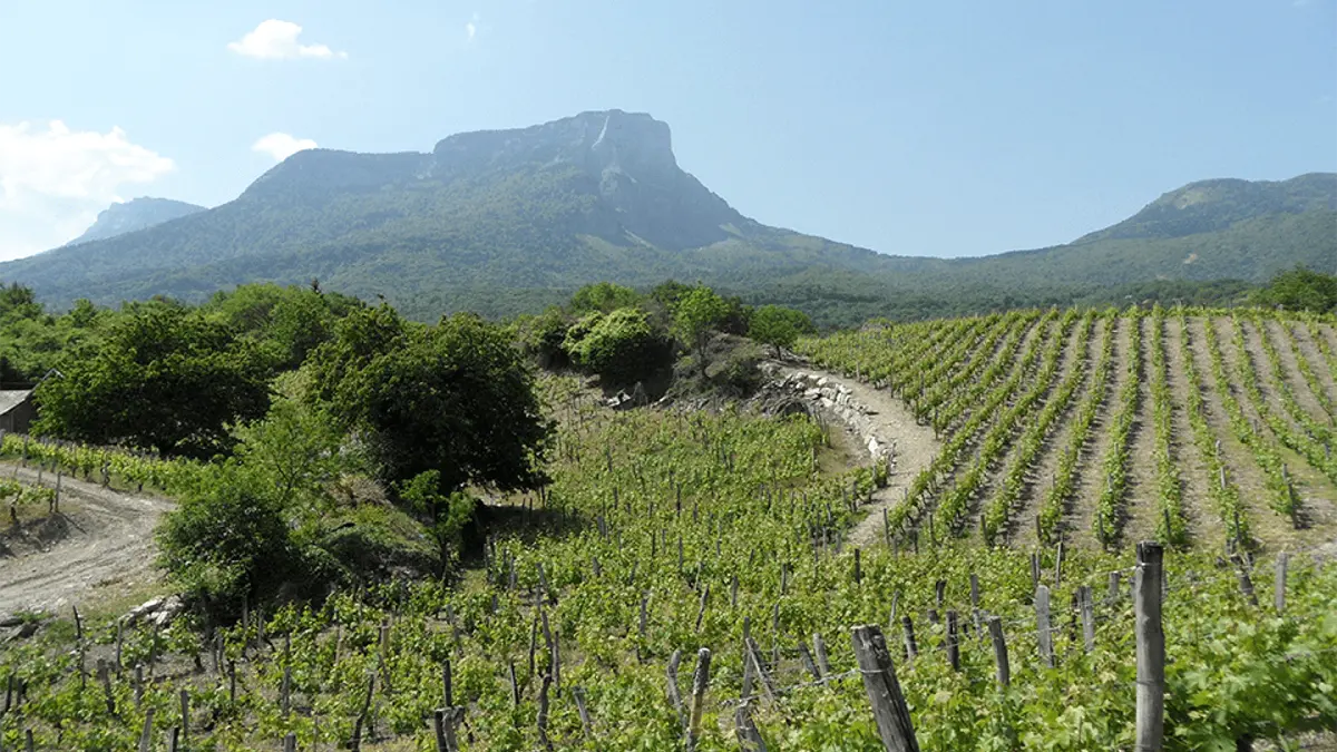 Domaine des Anges - GAEC Caillet