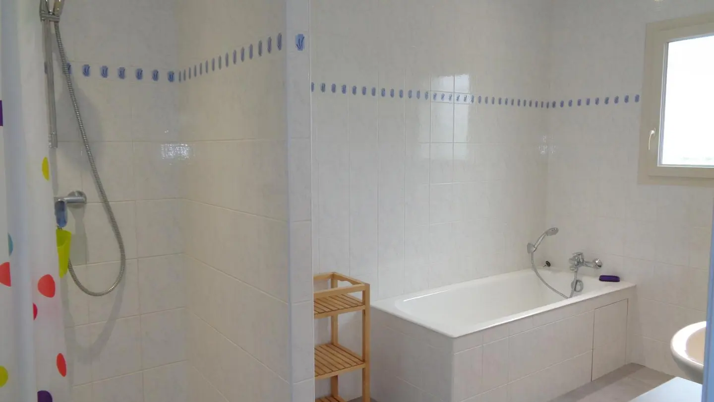 Salle d'eau avec douche et baignoire.