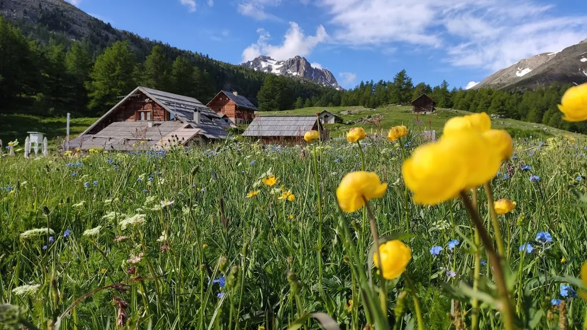 L'été dans le vallon de Buffère