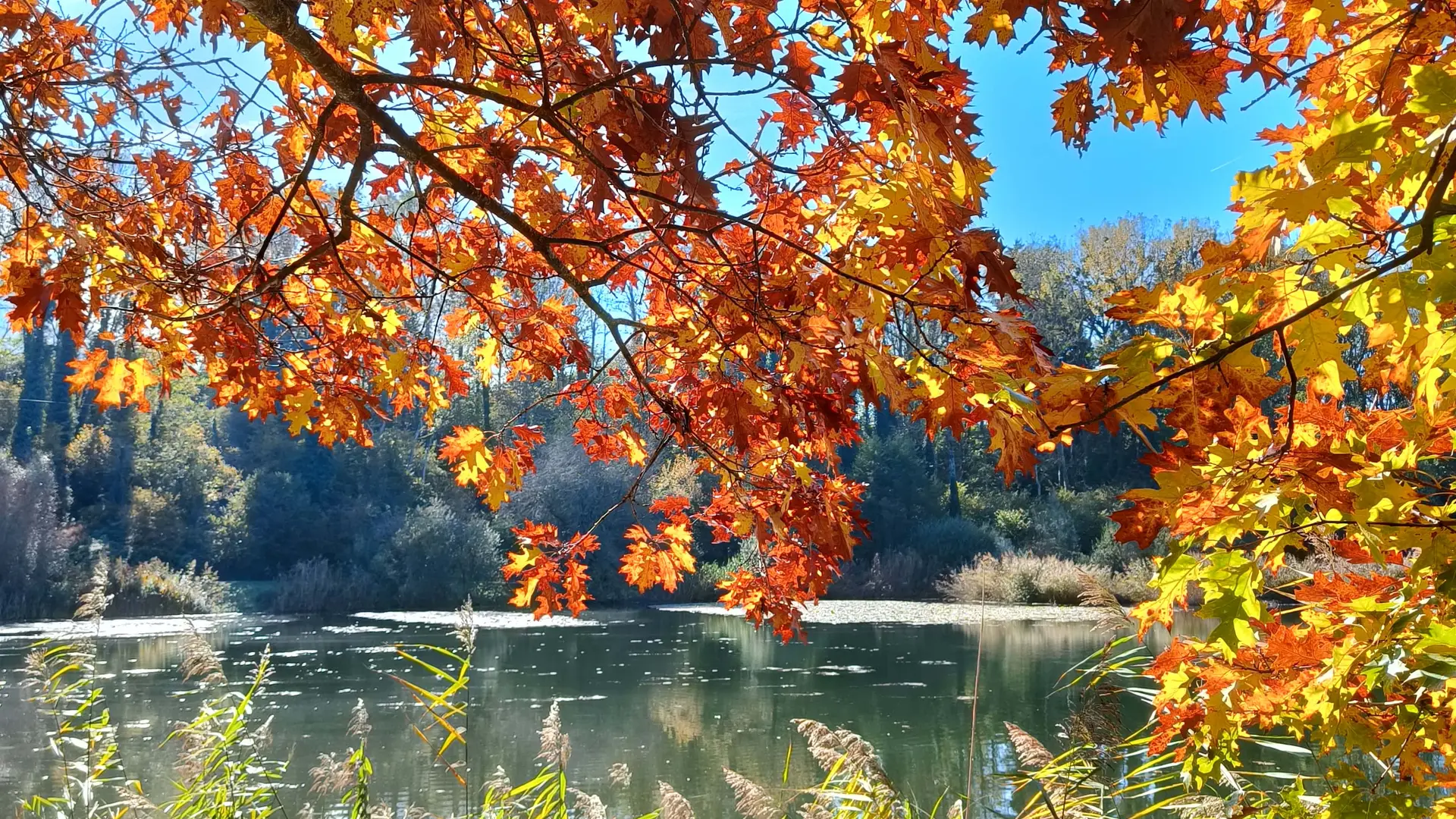 couleurs d'automne au lac du môle
