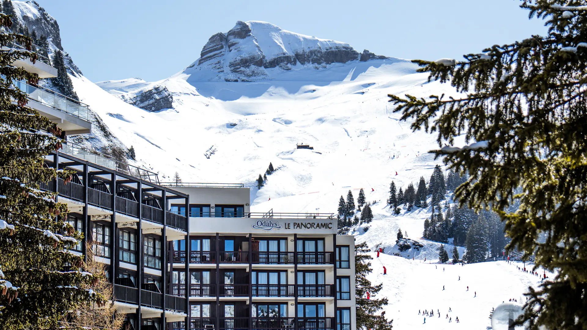 Vue de la résidence depuis Flaine Forêt