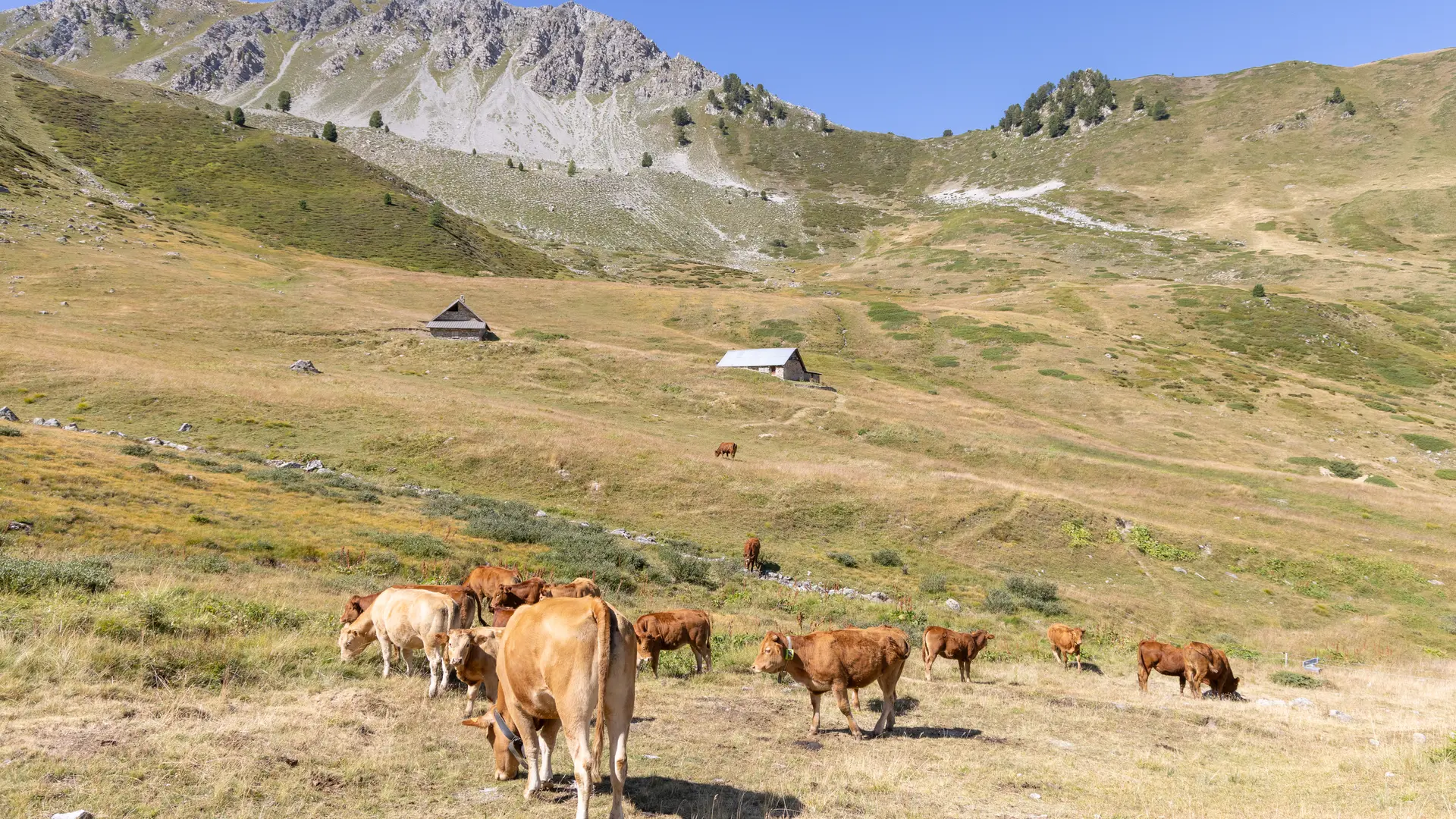 Pic de Baudouis & col des Ayes