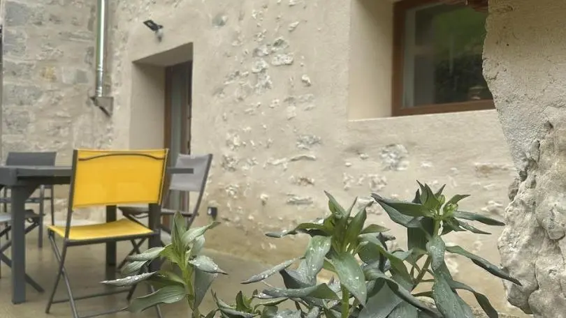 Plante sur terrasse