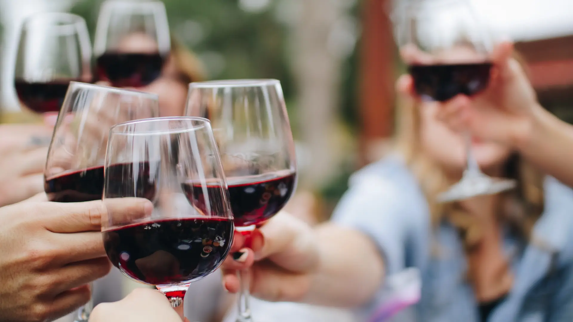 dégustation de vins