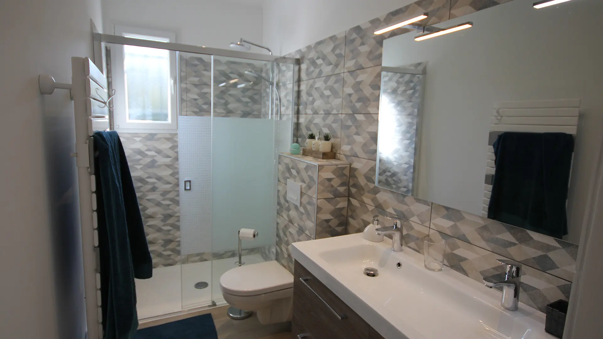 Salle de douche avec WC