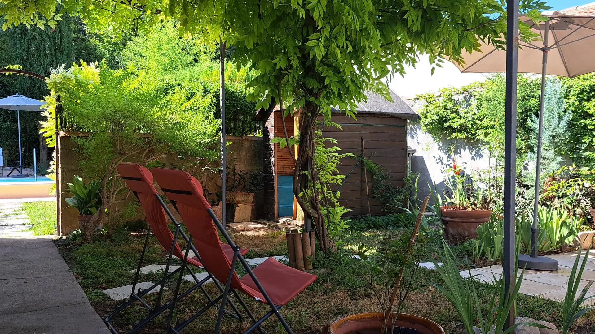 Sous l'ombrage et la fraicheur de la tonnelle avec sa glycine .