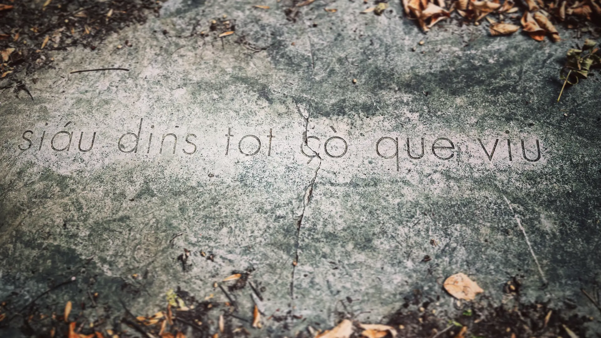 Vers les chemins d'art