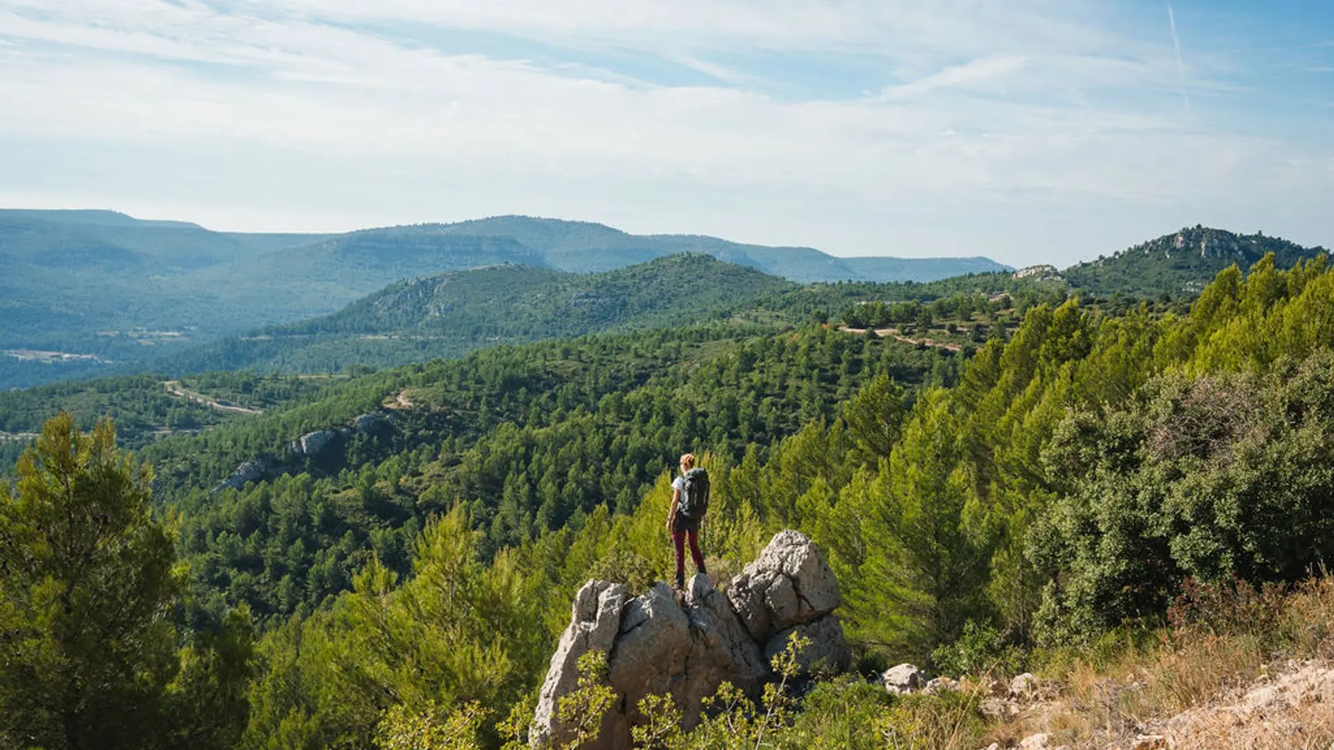 Panorama vers Cuges-les-Pins