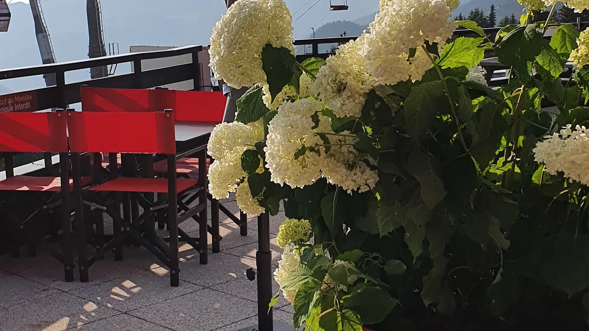 La Terrasse du Morclan en été