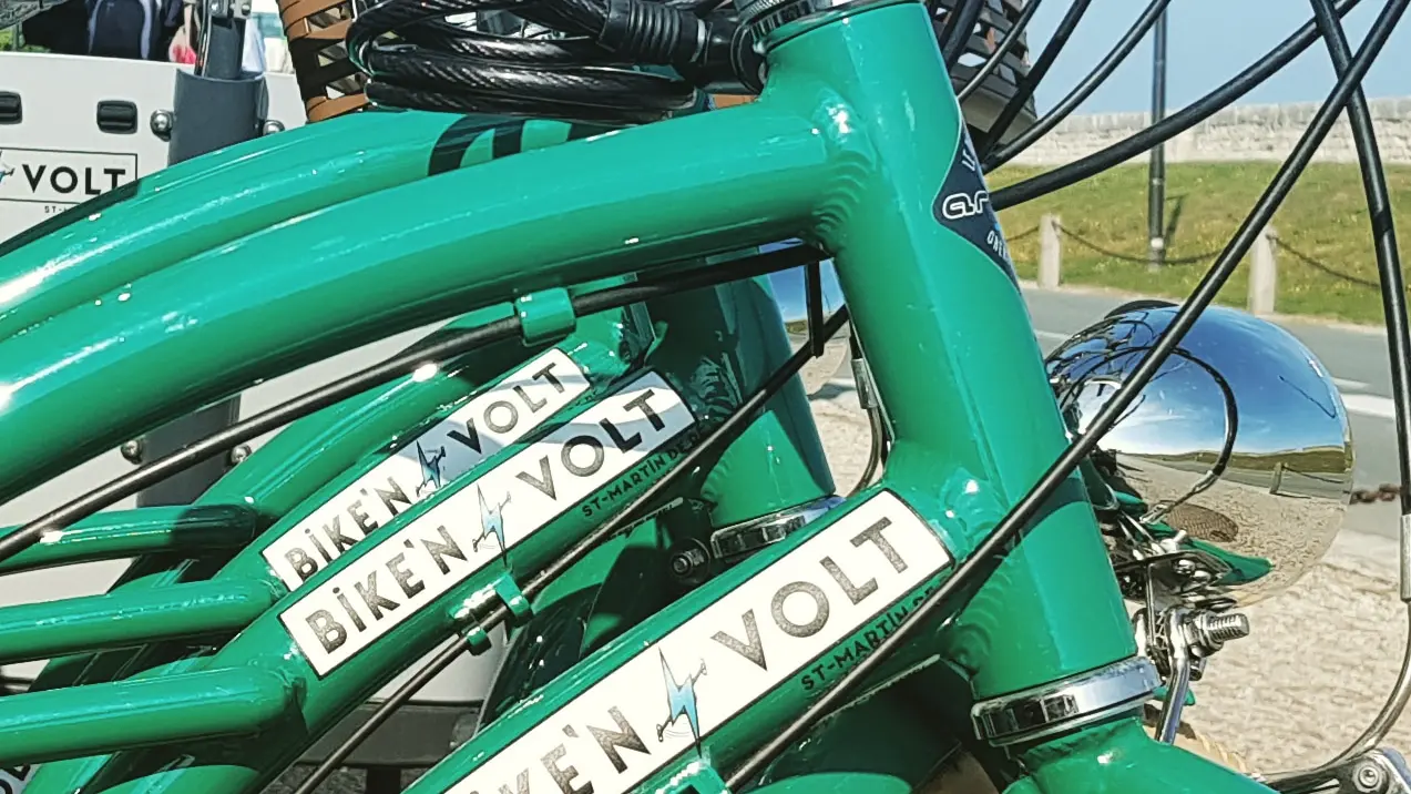 Logo sur cadre du vélo