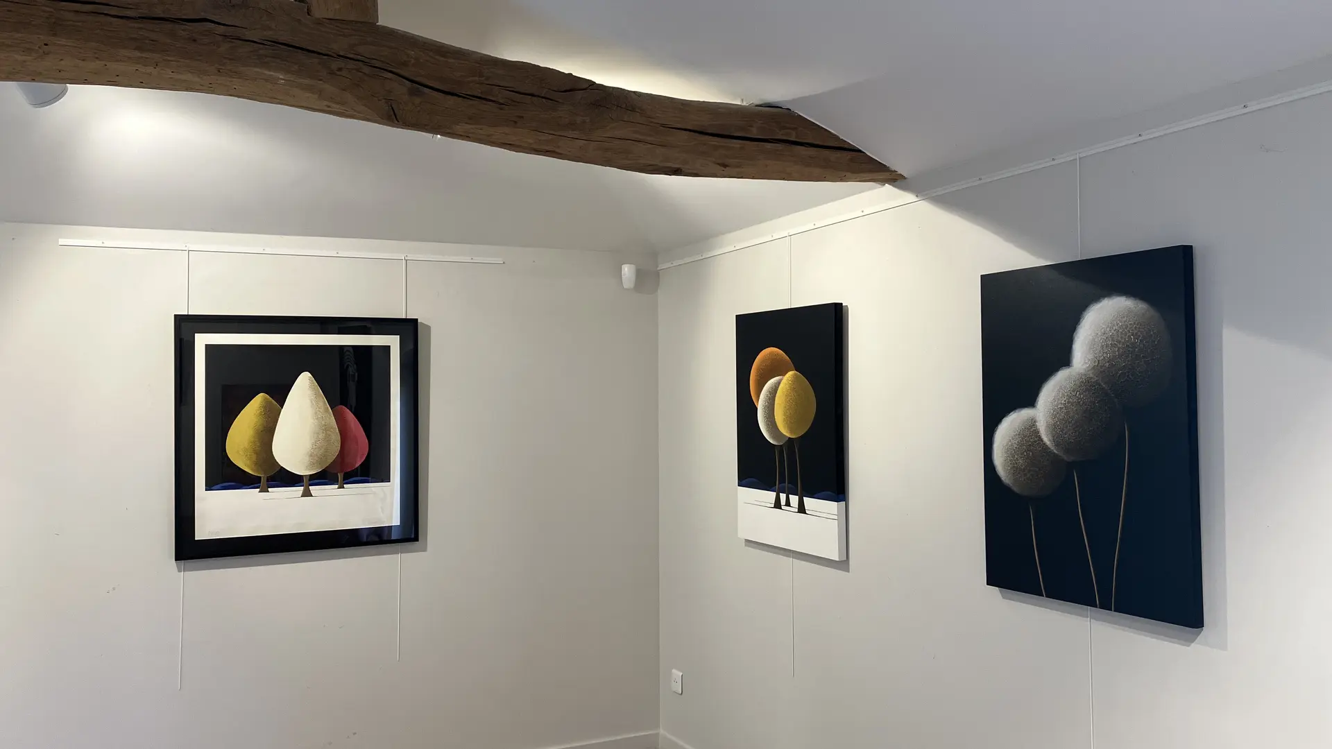 Galerie Deza