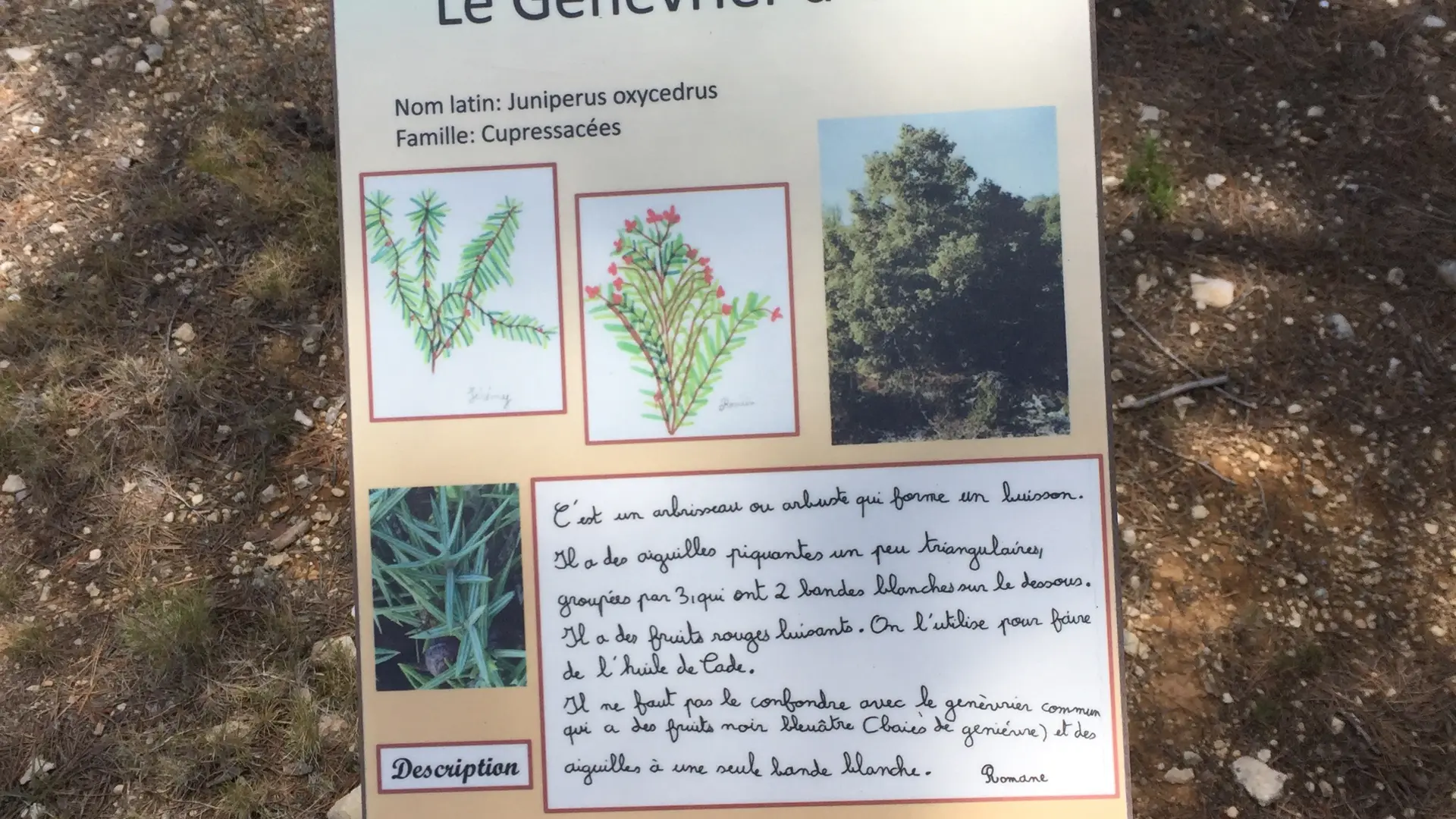 Panneau pédagogique genèvrier