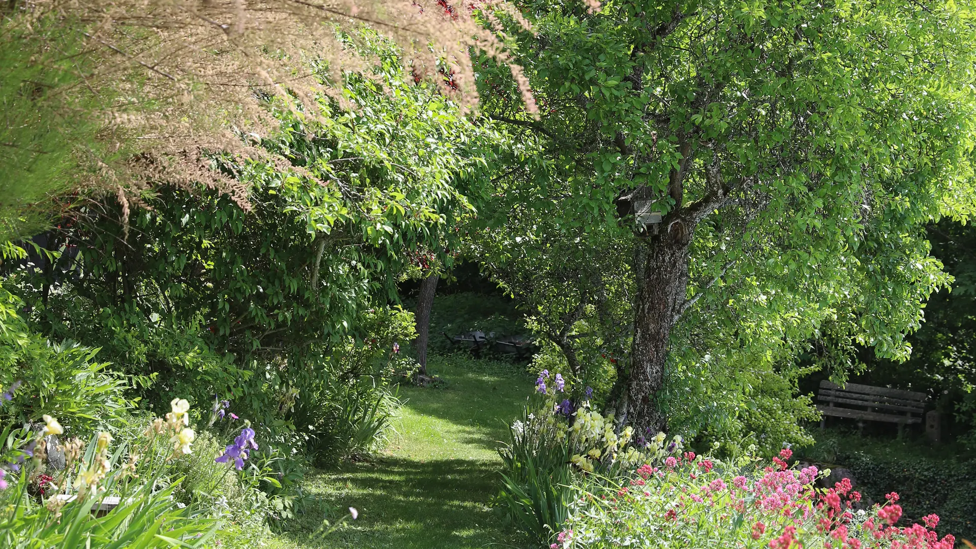 Le château de Sothonod