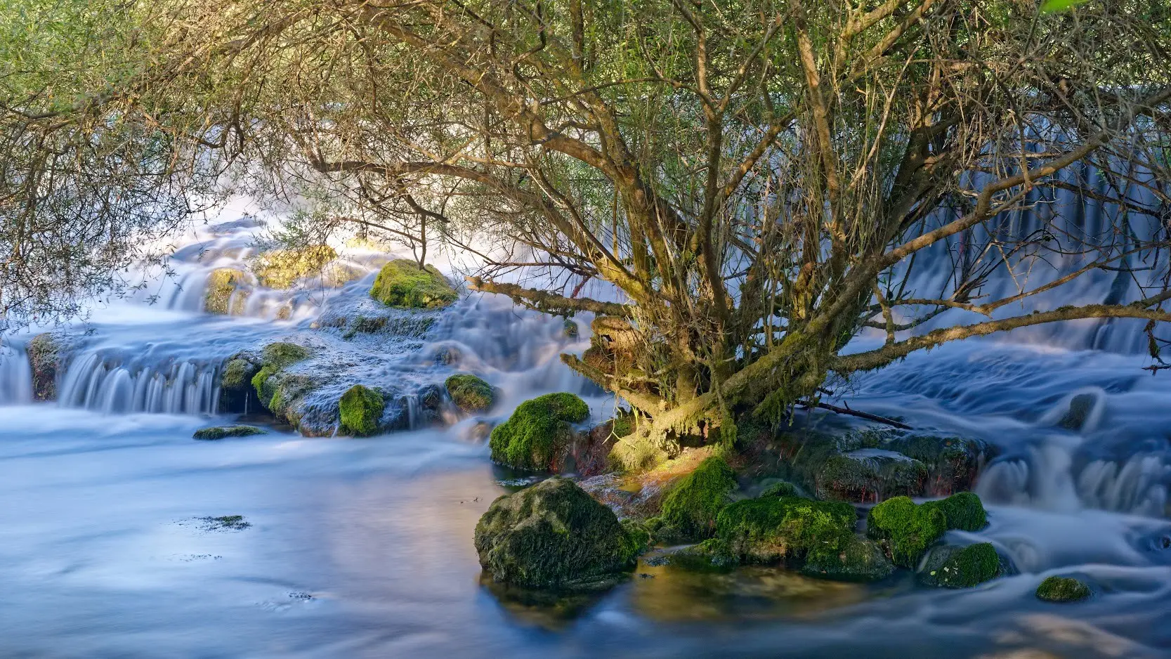 Vue sur la sorgue et petite cascade et sous-bois vert