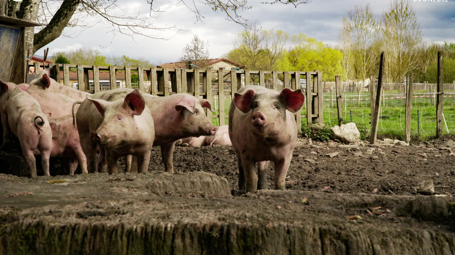 La Ferme du Marais
