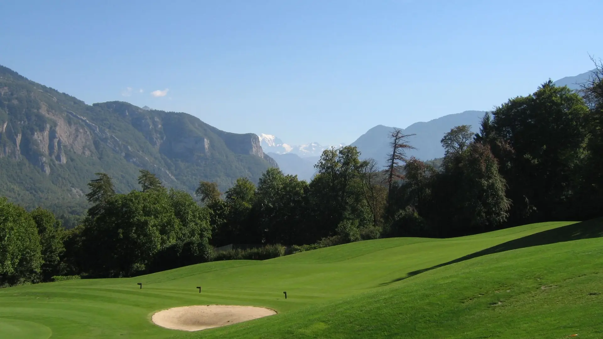 green et arbres golf