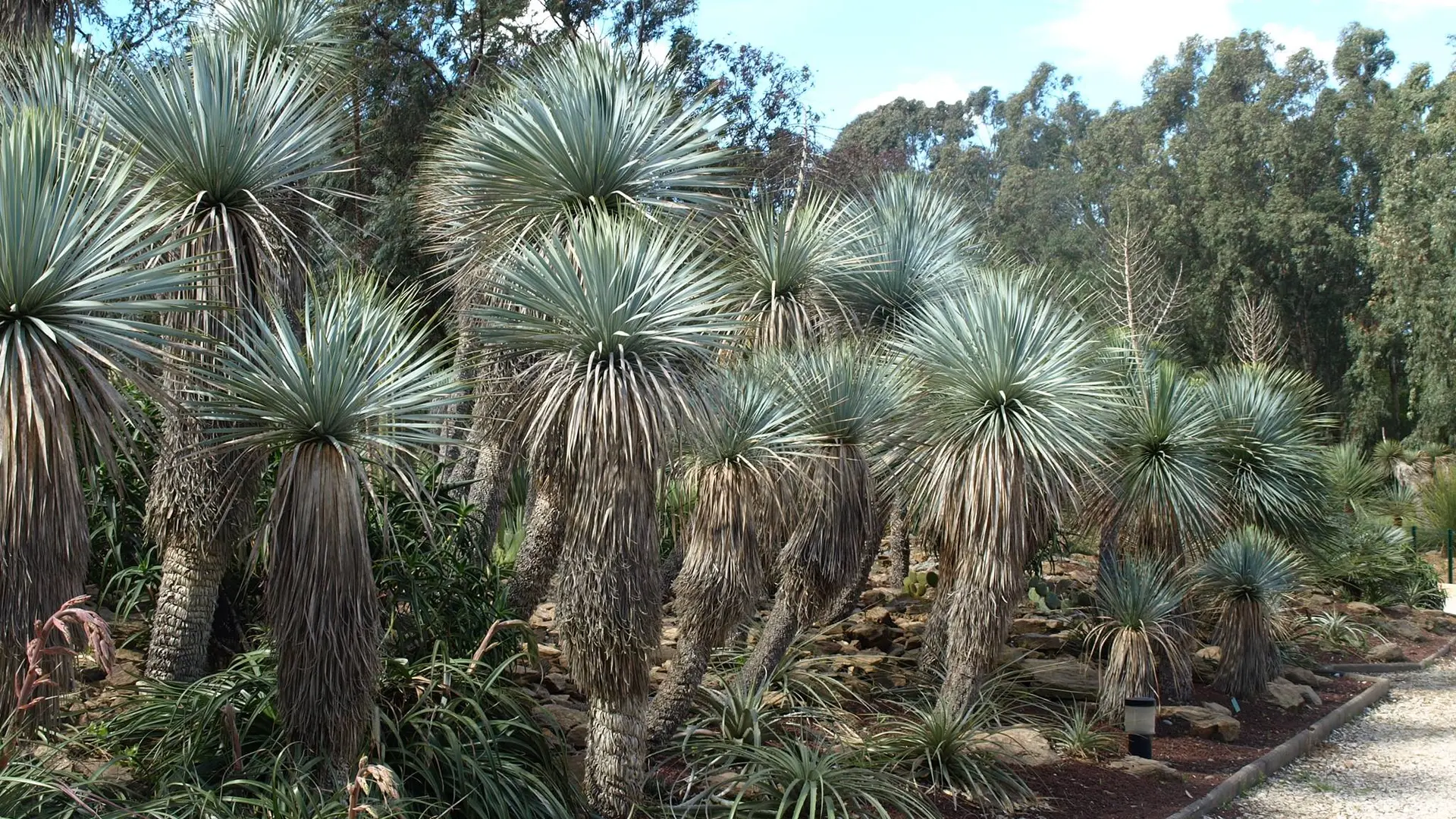 Jardin Zoologique Tropical à La Londe les Maures