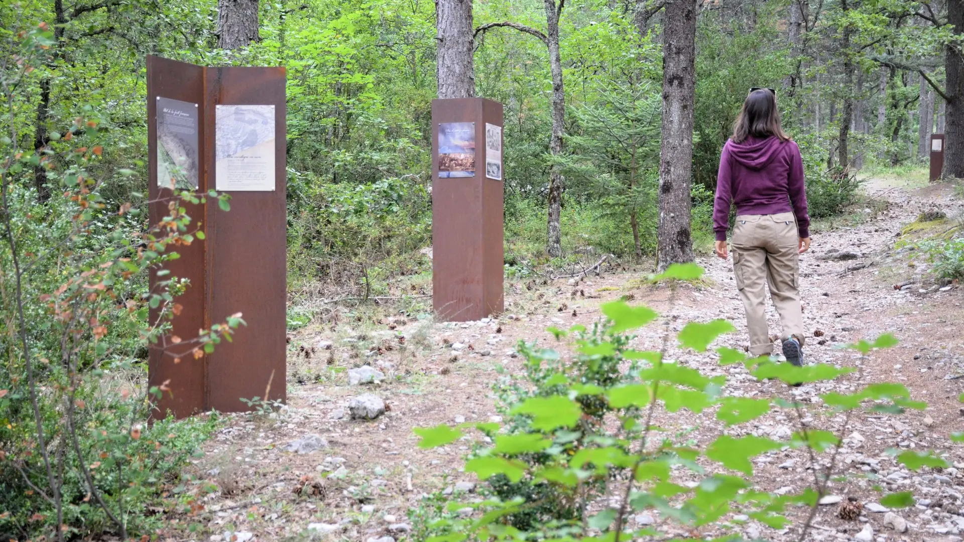 Médiation sur le Sentier du reboisement