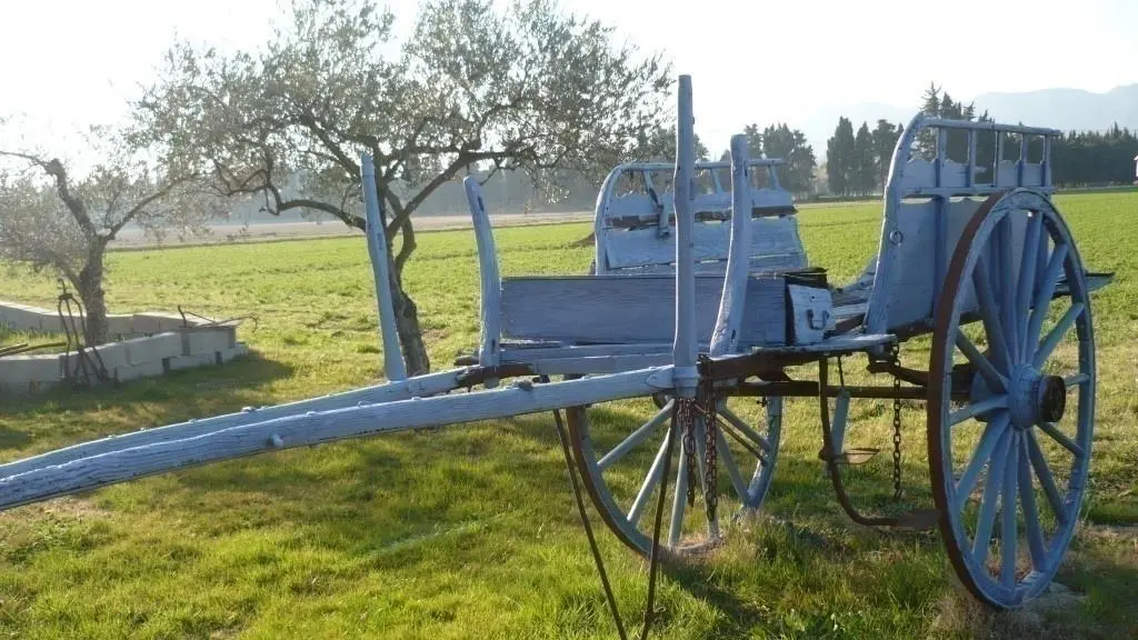 Photo_6