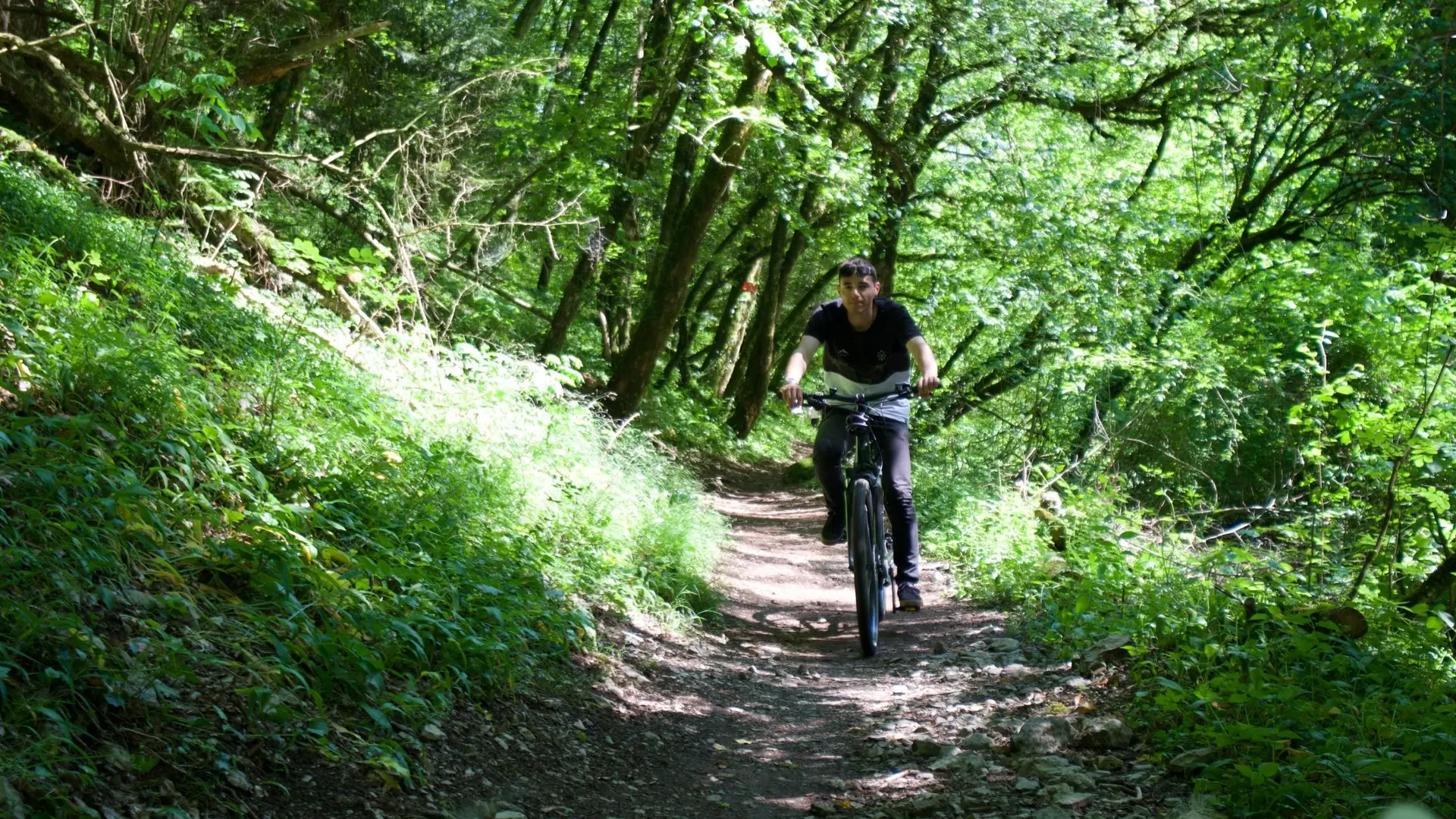 VTT en forêt