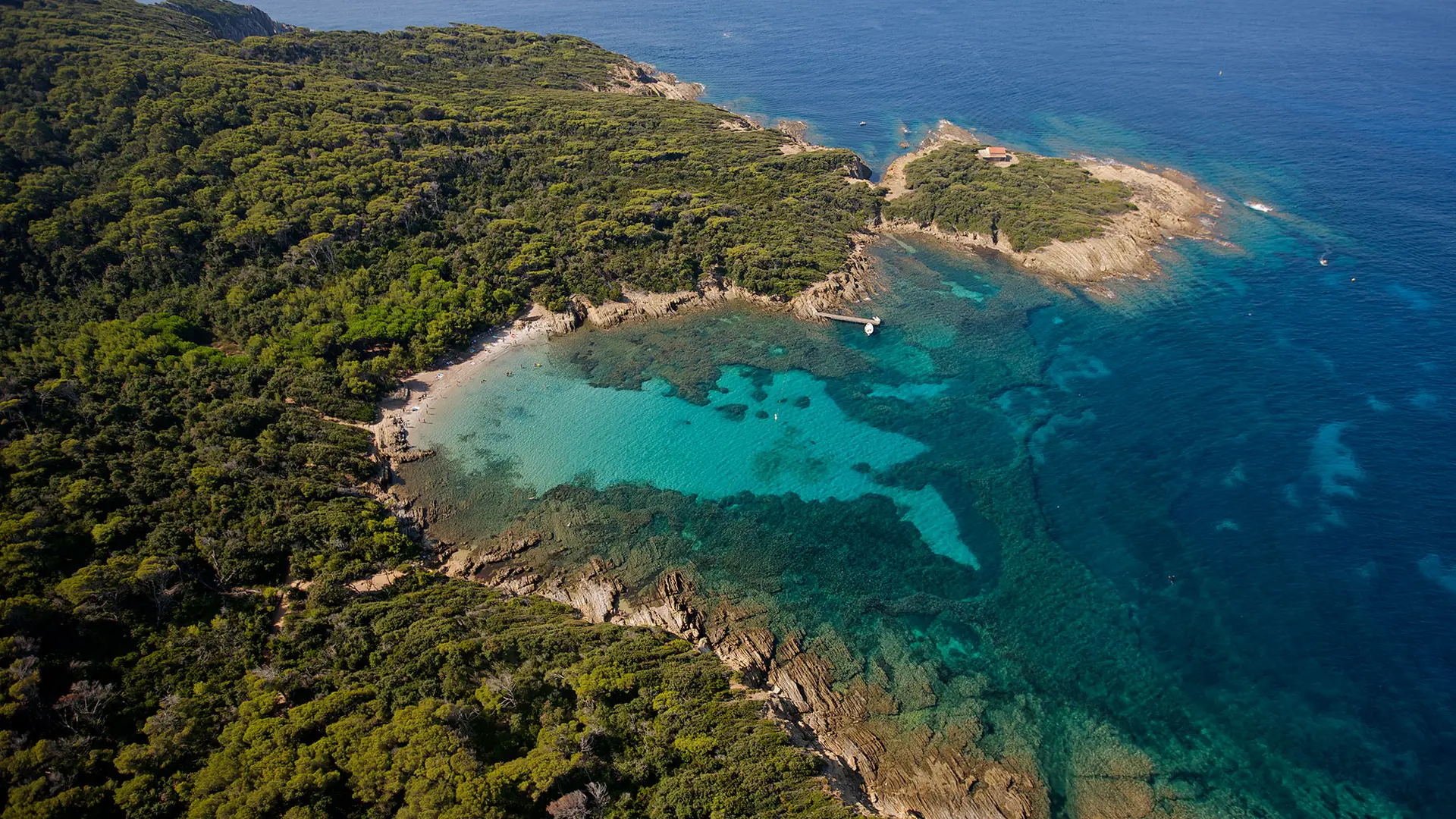 L'île de Port Cros, coeur de parc National à Hyères