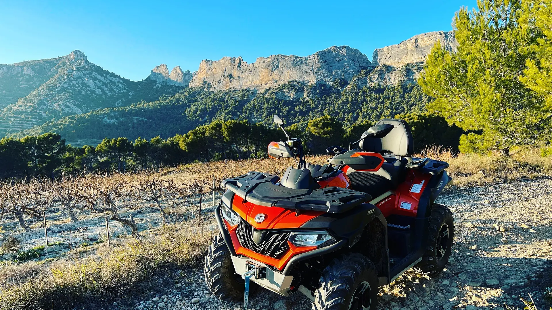 Dans les Dentelles de Montmirail