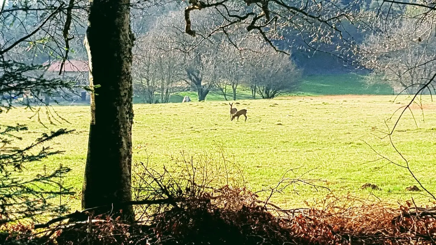 Domaine de Monton - Estivareilles 42380