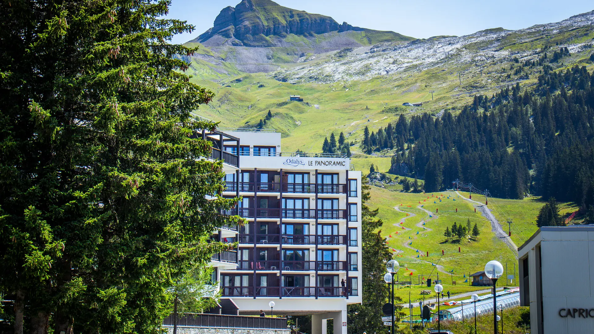 Vue de la résidence depuis Flaine Forêt en été