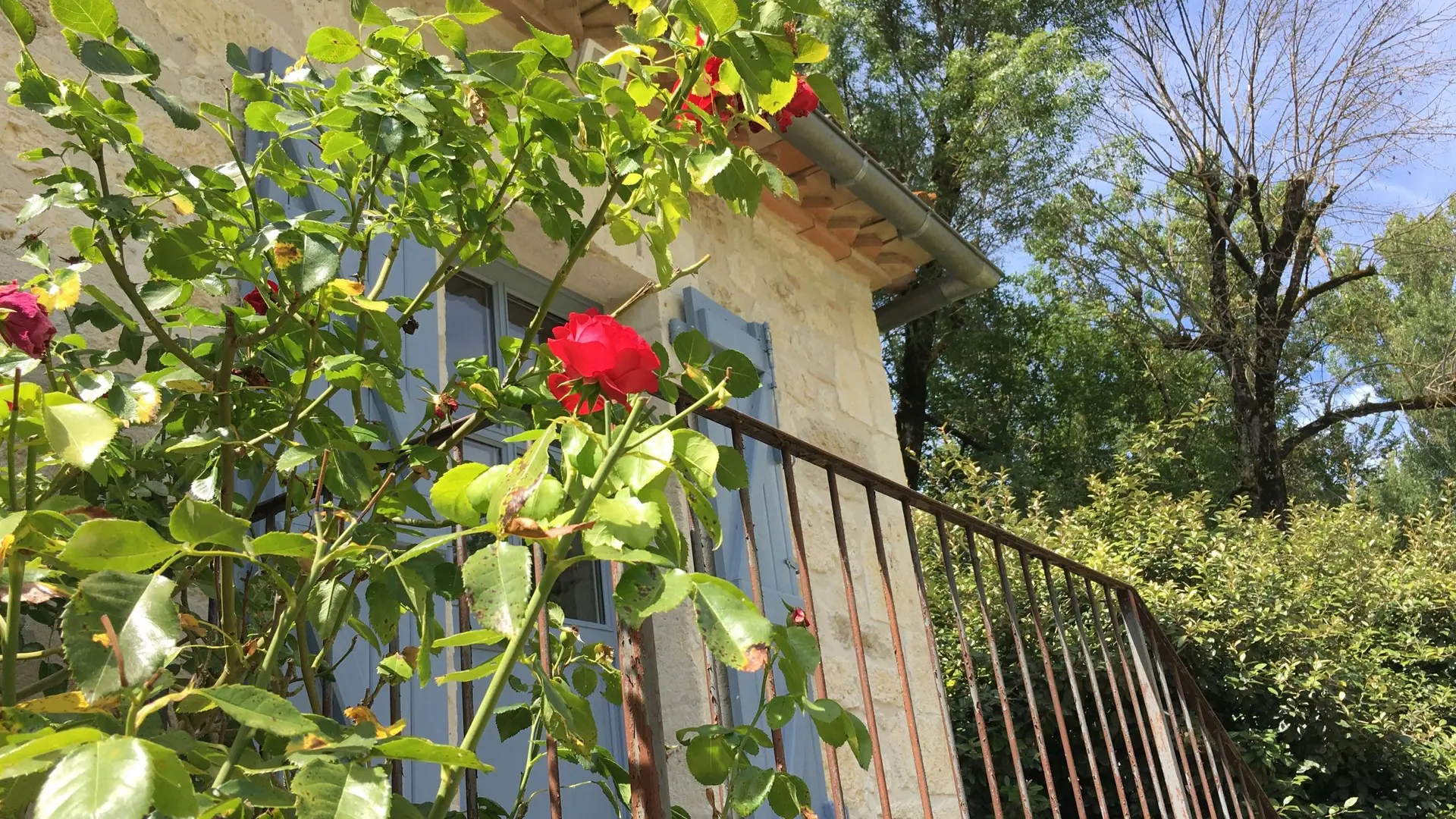 Jardin