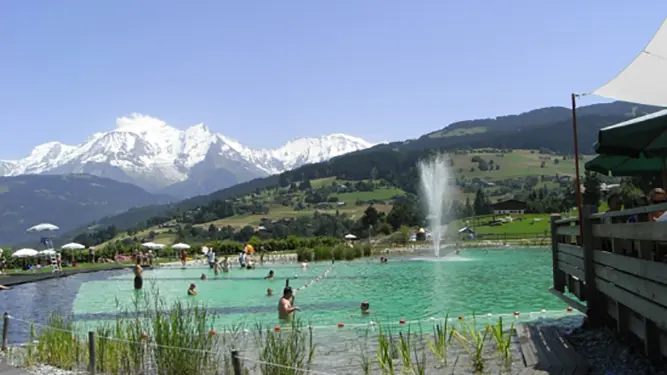 Lac biotope au centre de Combloux: vue exceptionnelle sur la chaine du Mont Blanc
