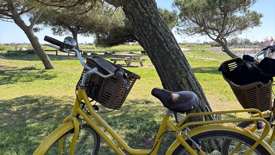 Vélo confort à l'ombre