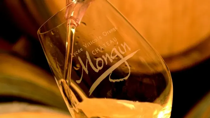 Verre dans le caveau du Château Mongin