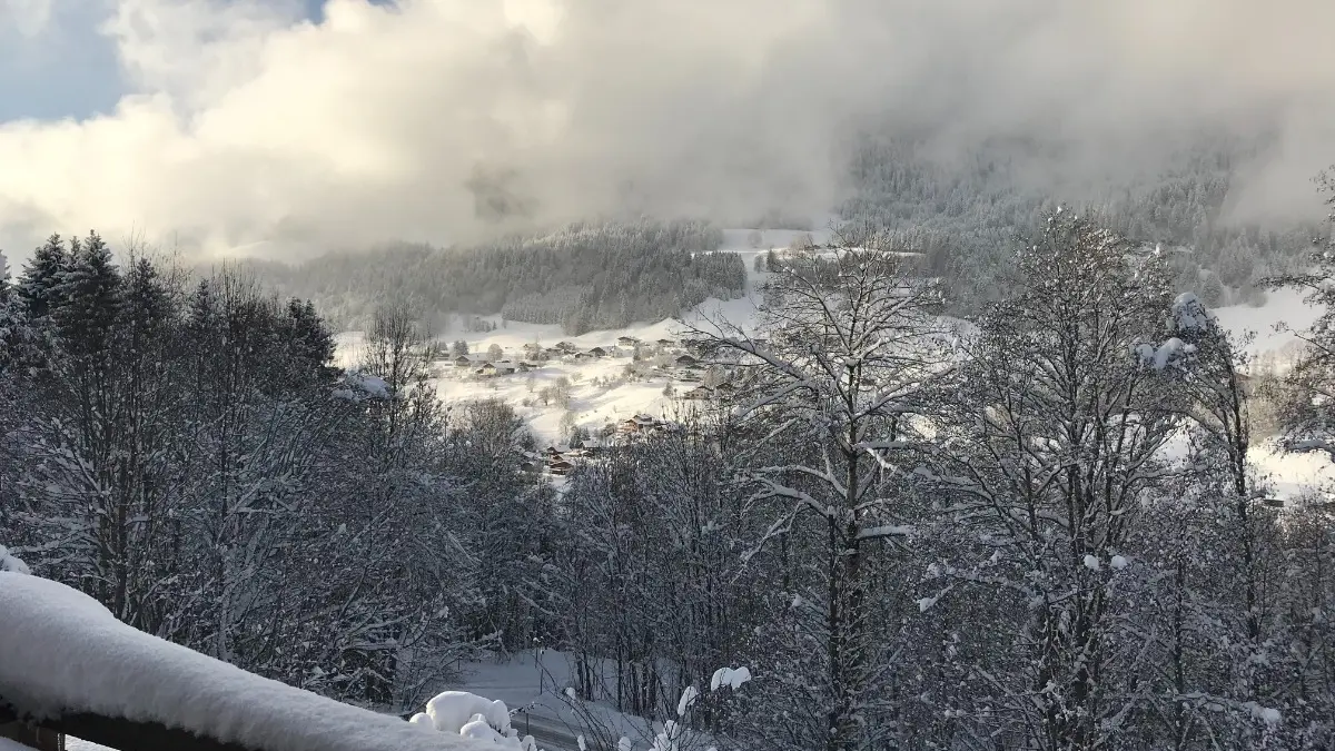 Vue d'une des terrasses.